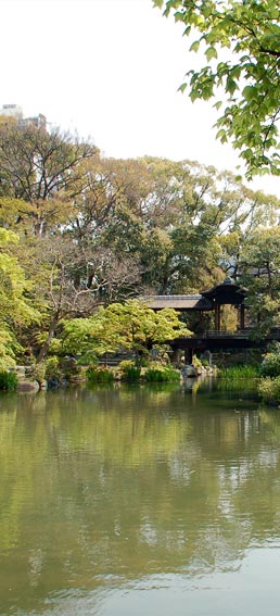 Le jardin Shoseien, Kyotô