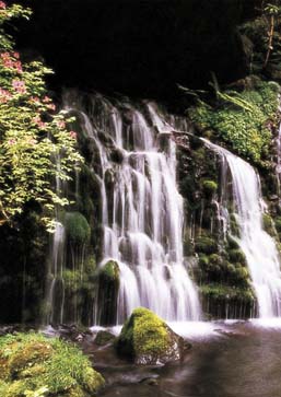 taki, cascade que l'on retrouve dans les jardins japoanis